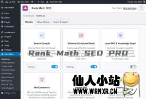 WordPress SEO插件 Rank Math Pro v2.18.0-仙人小站