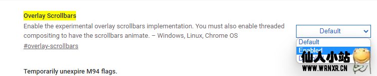 图片[3]-关闭Chrome烦人的滚动条-仙人小站
