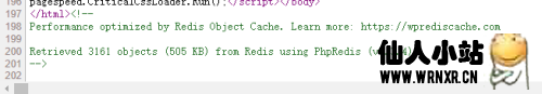 删除wordpress插件Redis Object Cache页脚的推广信息-仙人小站