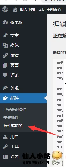 图片[3]-删除wordpress插件Redis Object Cache页脚的推广信息-仙人小站