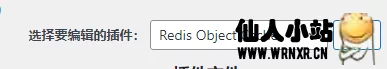 图片[4]-删除wordpress插件Redis Object Cache页脚的推广信息-仙人小站