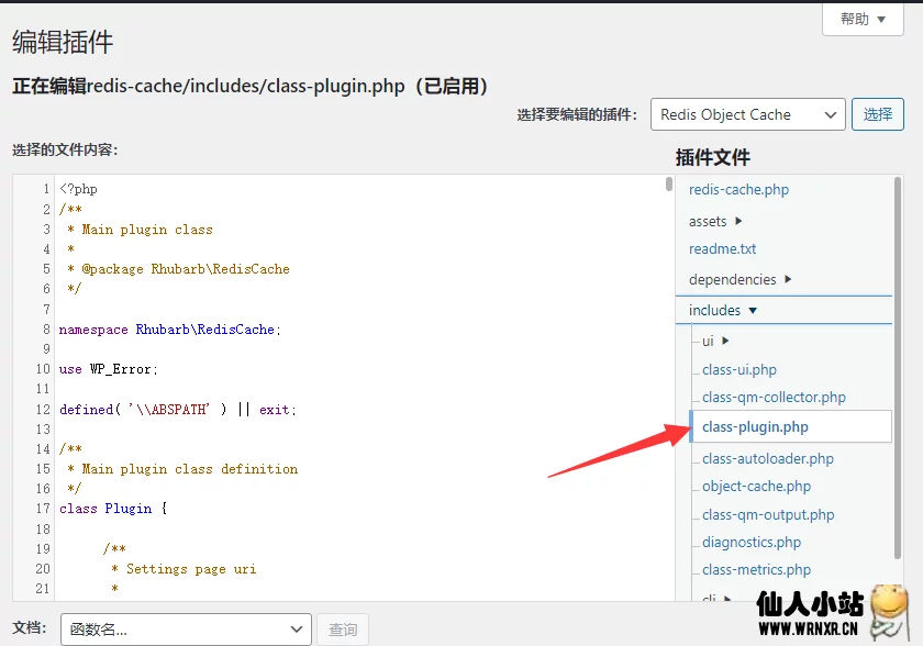 图片[5]-删除wordpress插件Redis Object Cache页脚的推广信息-仙人小站