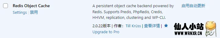 图片[2]-删除wordpress插件Redis Object Cache页脚的推广信息-仙人小站
