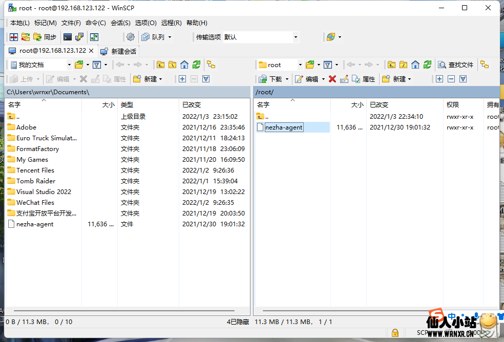 【更新支持DSM7】群晖安装哪吒探针面板被控端插图7 【更新支持DSM7】群晖安装哪吒探针面板被控端插图7