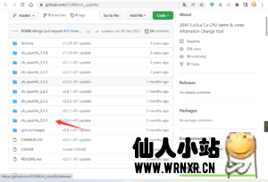 黑群晖显示真正的CPU型号-仙人小站