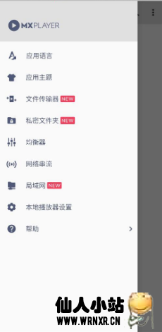 MXPlayer v1.43.13绿化版-仙人小站