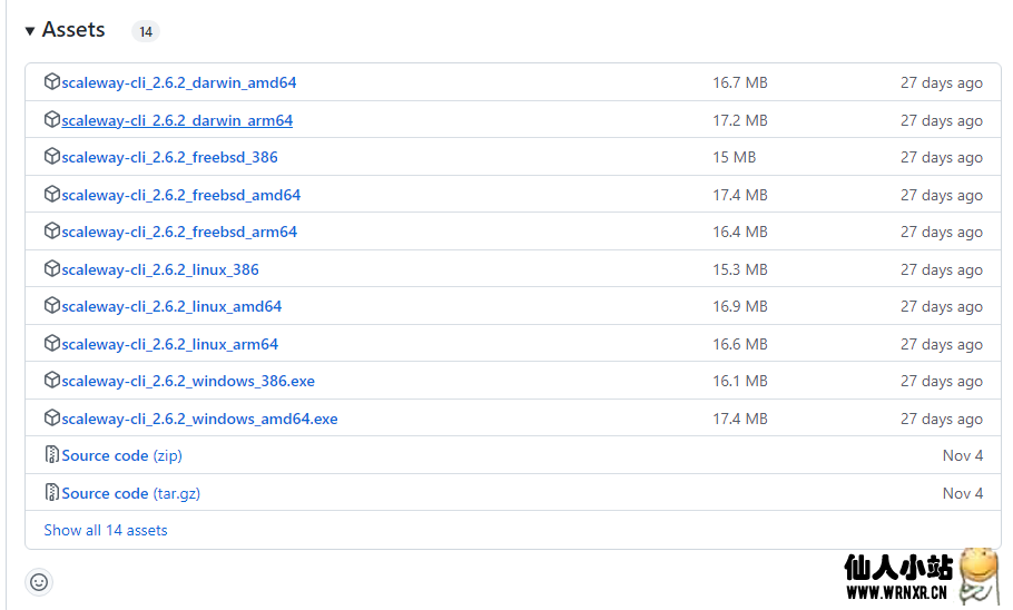 图片[9]-Scaleway超低价小鸡开机教程-仙人小站