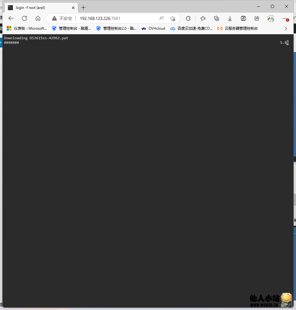 图片[8]-群晖自编译引导arpl-仙人小站