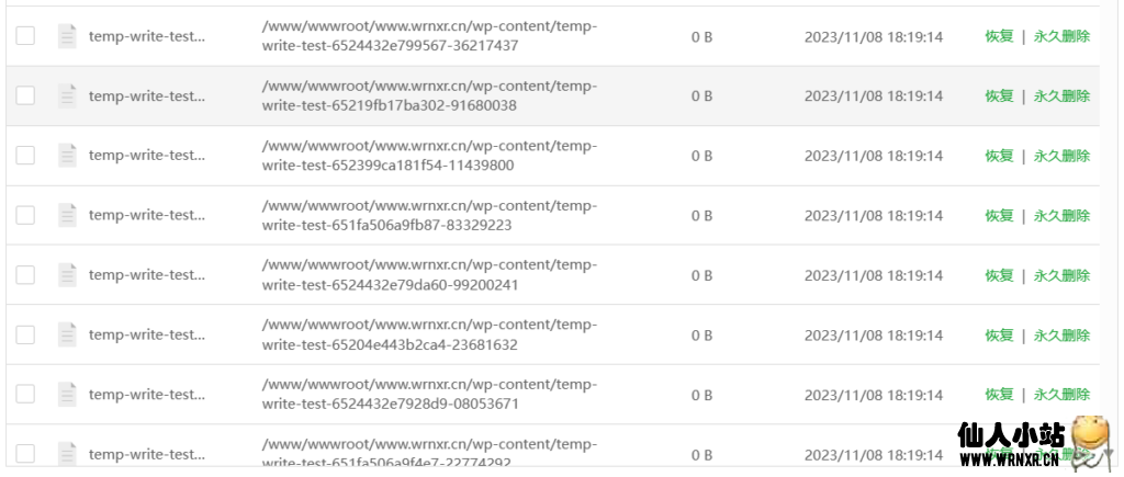 宝塔Linux面板下WordPress出现“temp-write-test-xxxxxxxx”未知文件解决方案-仙人小站