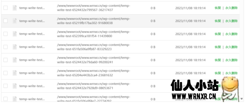 宝塔Linux面板下WordPress出现“temp-write-test-xxxxxxxx”未知文件解决方案-仙人小站