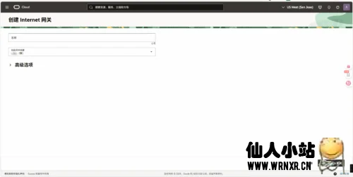 甲骨文云Oracle Cloud实例再新的vcn下无法联网解决方案-仙人小站