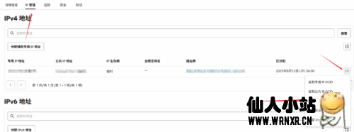 甲骨文云Oracle Cloud实例更换IP教程-仙人小站